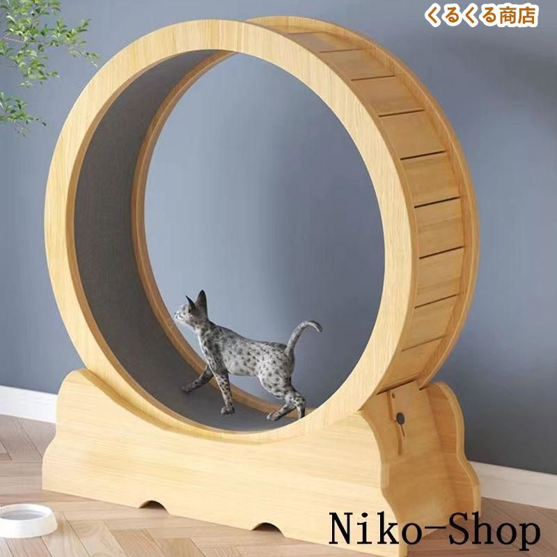 猫 トレッドミル