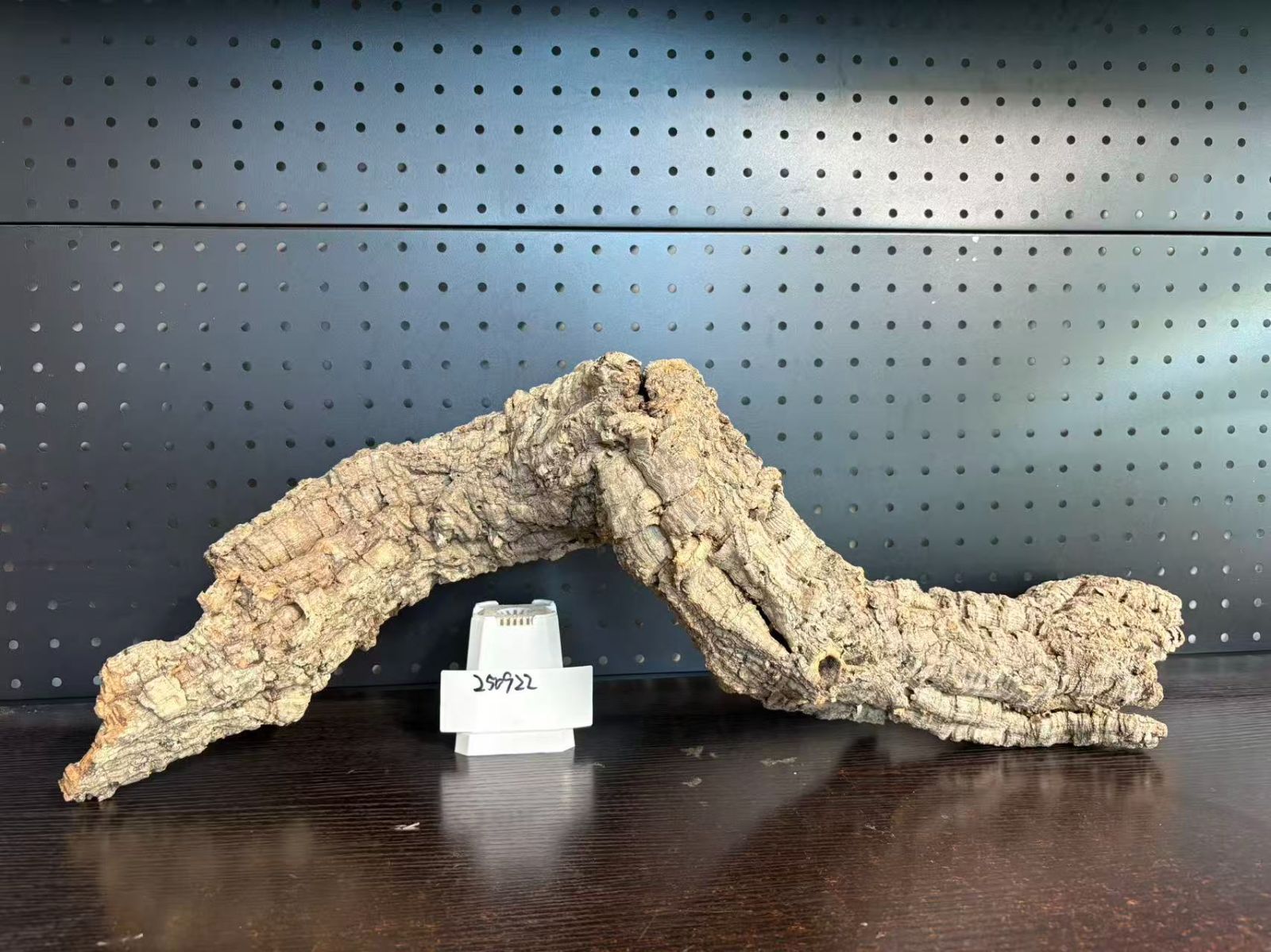 250922 ポルトガル産