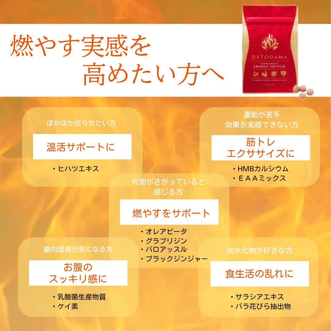 デトダーマ エナジースイッチ - メルカリ
