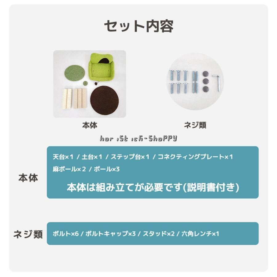 子猫 シニア