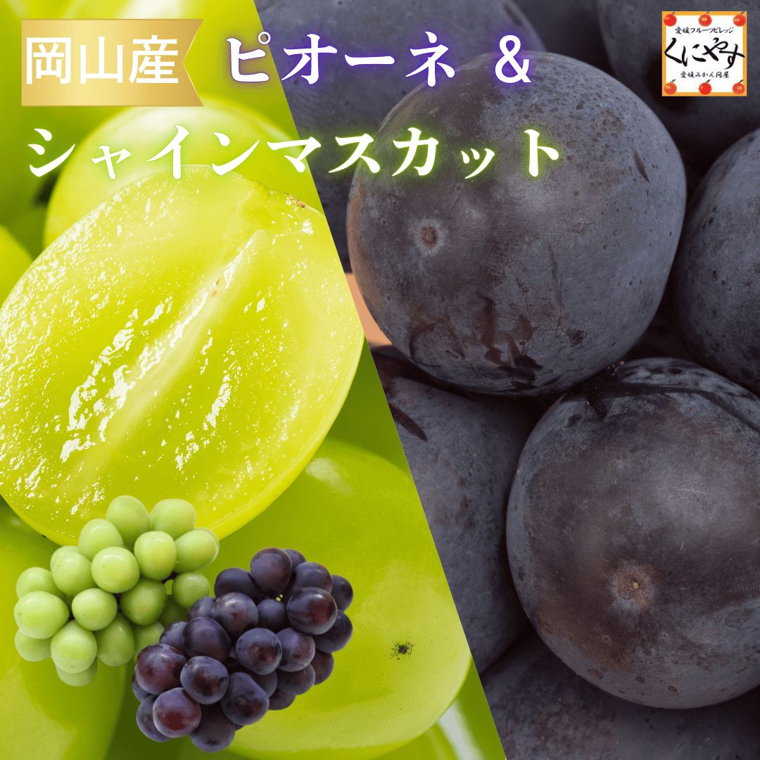 8|20〜9|30頃 出荷 ぶどう 2色セット ギフト 贈答用 クール便 岡山産 シャインマスカット ピオーネ セット シャインピオーネ シャイン 果物セット フルーツセット