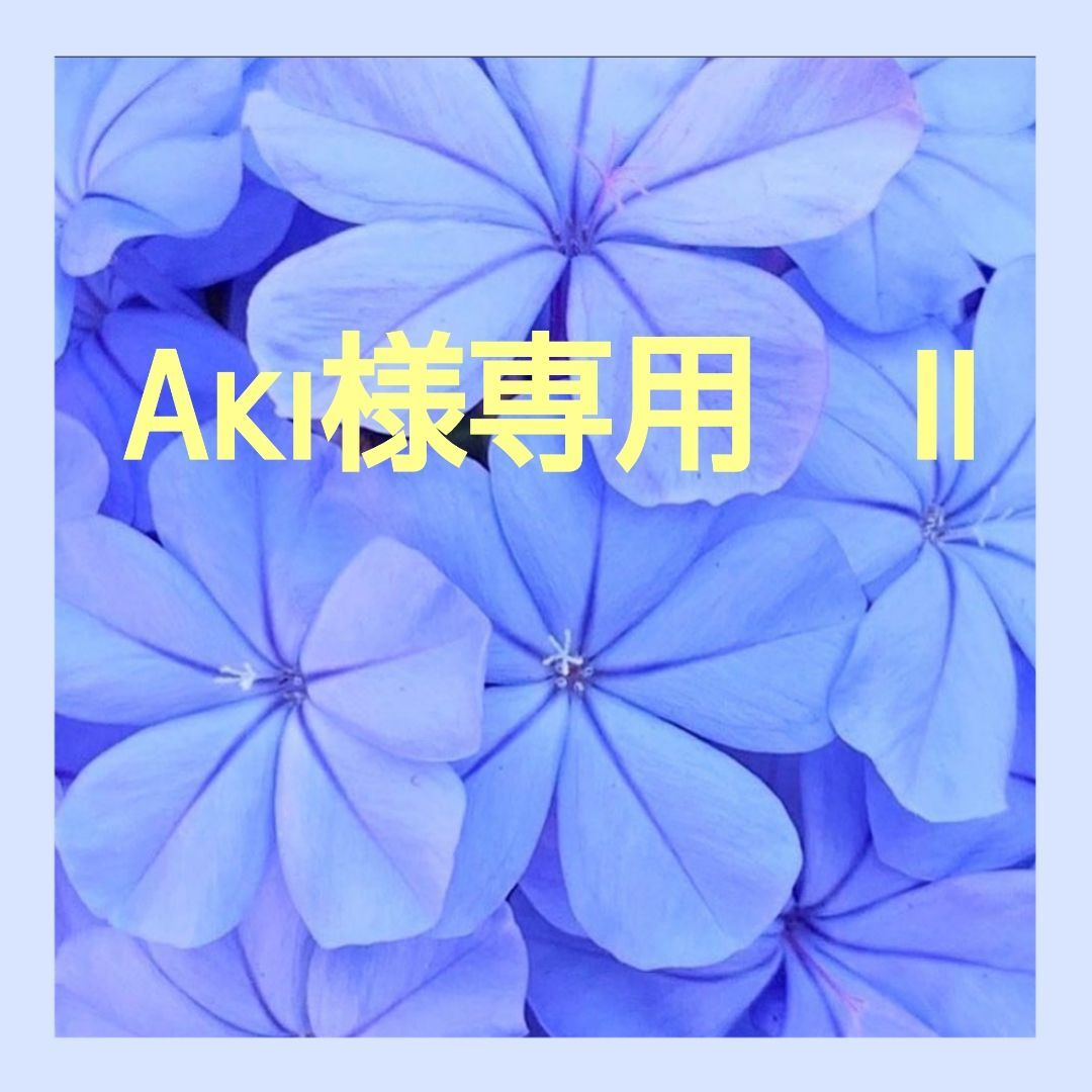 Aki様専用 Ⅱ - メルカリ