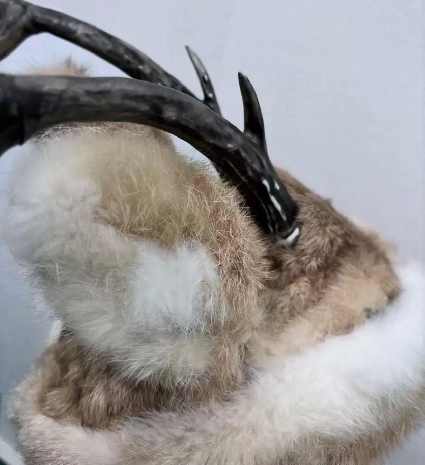 振り子旅行撮影道具