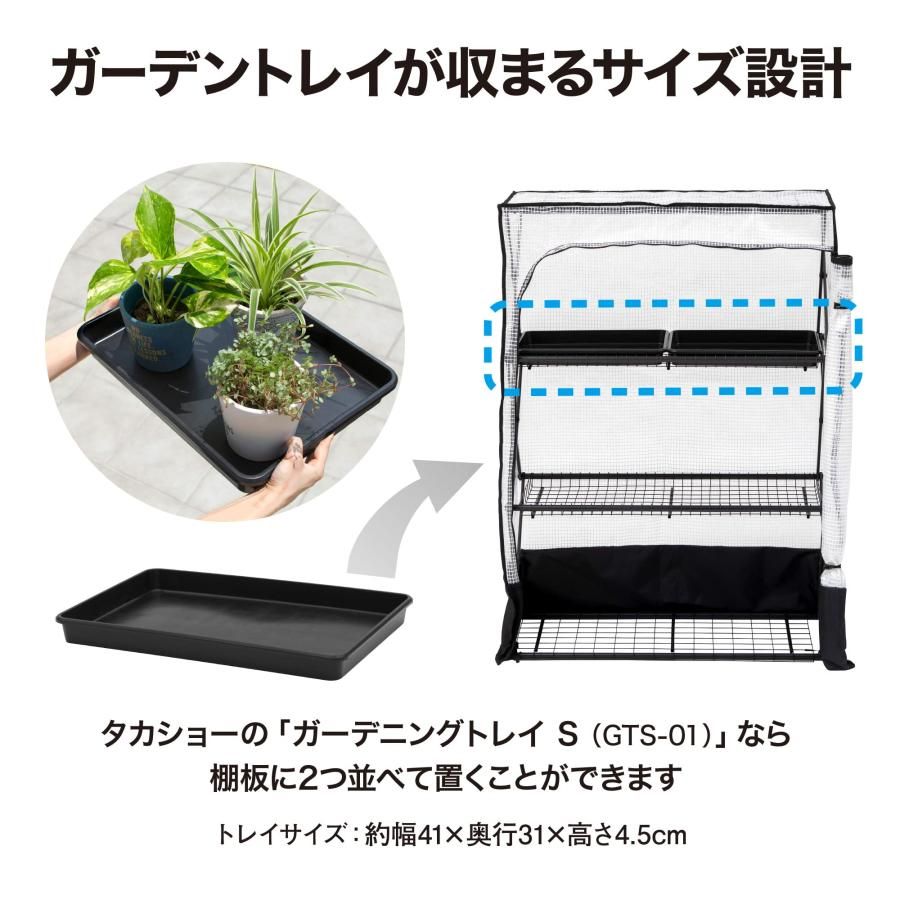 植物
