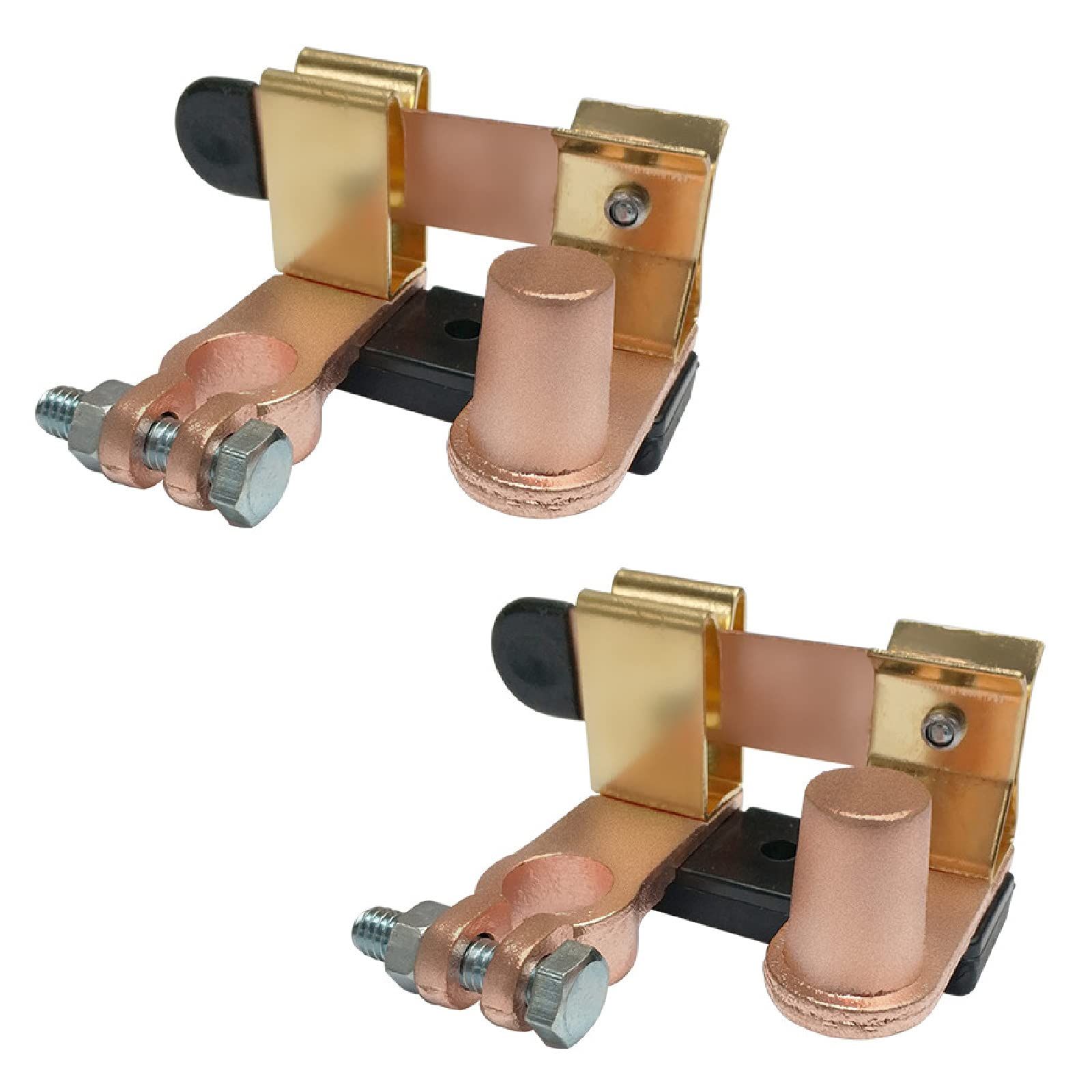 WBC世界タイトル戦 メダル