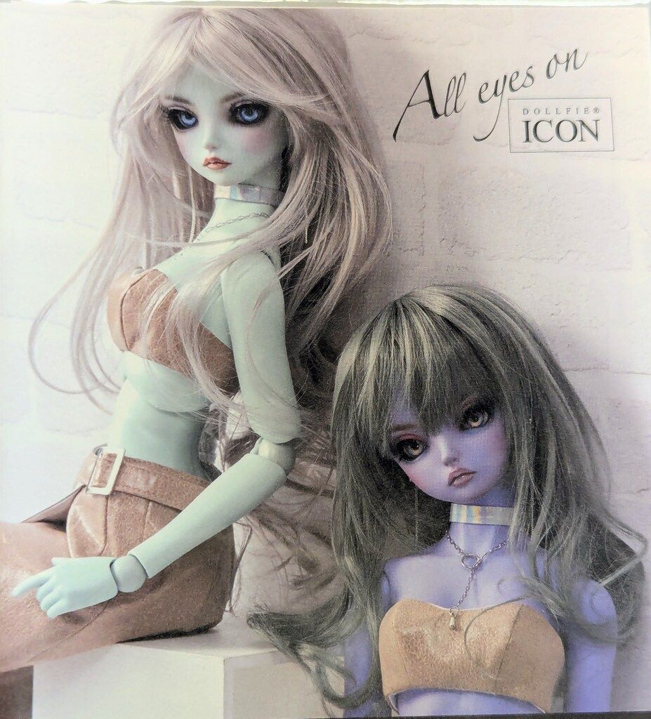 ボークス ドルフィーアイコン Clover 2025 New Breeze