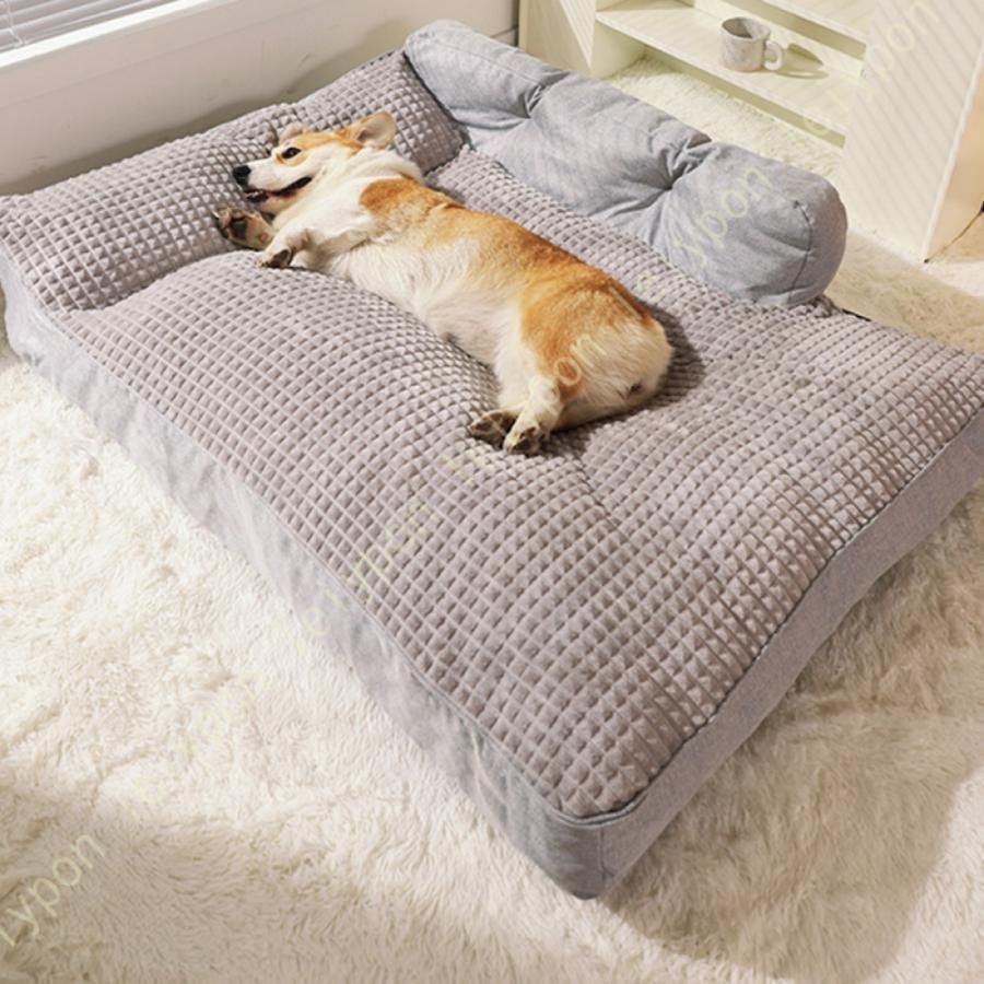 丈夫