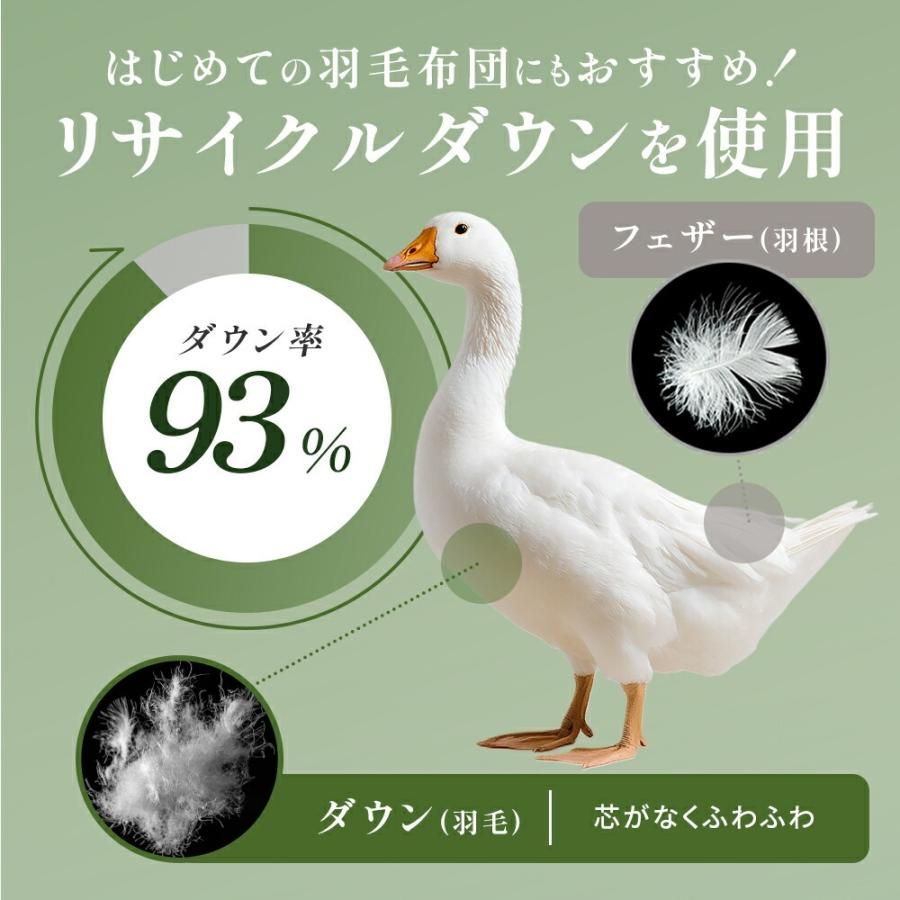 羽毛布団 ダブル グースダウン93％ 再生羽毛 リサイクルダウン 日本製 1.3kg パワーアップ加工 洗浄 サステナブル 3DA-90061513 HOMU-JOURNEY_COM