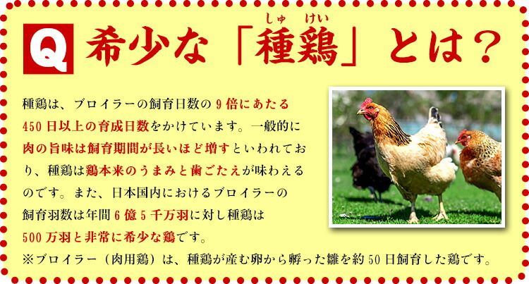 九州の定番料理 鶏たたき 【もも肉切り落とし120g】 【甲羅組】【肉の武蔵】-2