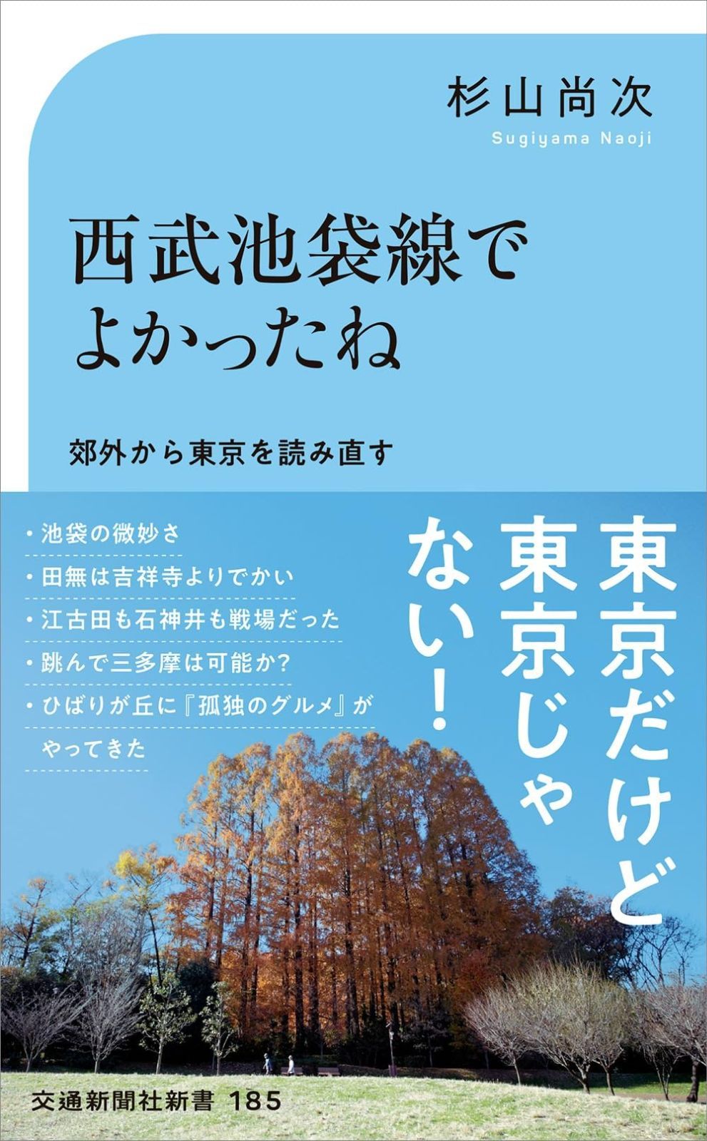 児島善三郎、薔薇、希少画集画、新品高級額装付