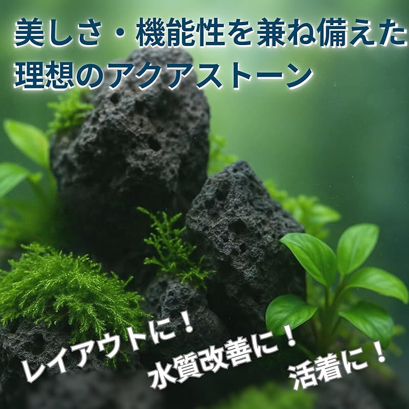 溶岩石 黒 水槽 石 アクアリウム アクアテラリウム YOTSUBA＋ 苔