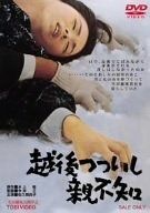 越後つついし親不知 DVD