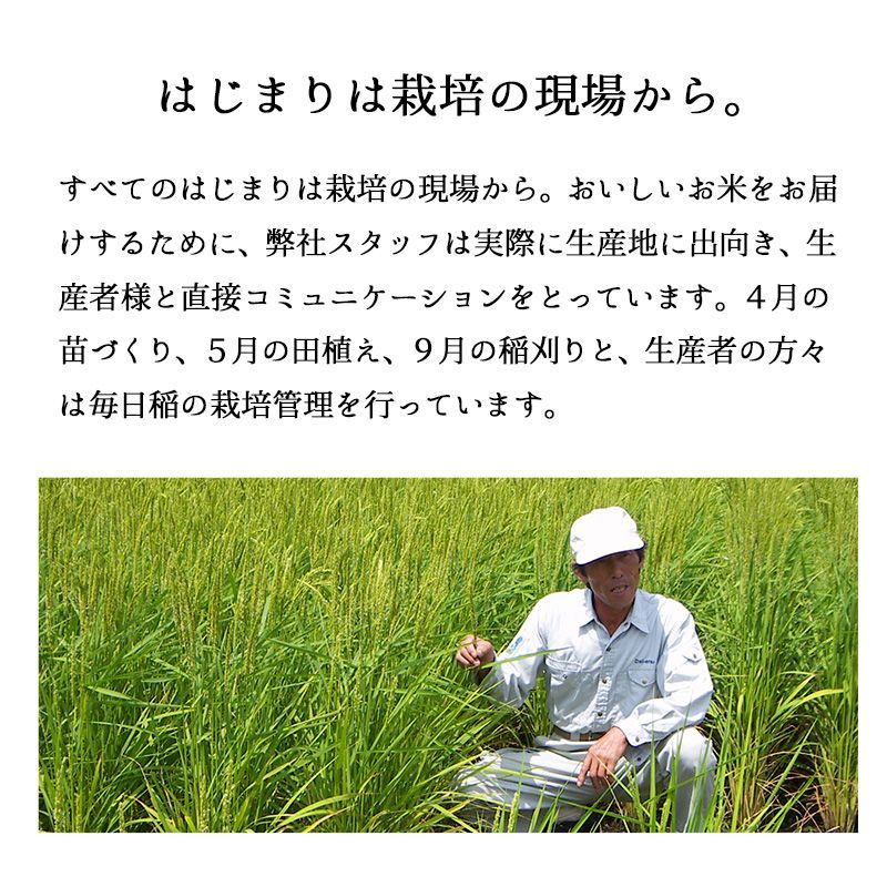 10キロ