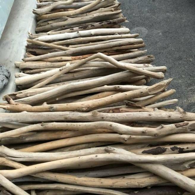 送料無料】南信州産 天然流木 まがり屋流木 枝流木 【長い流木  