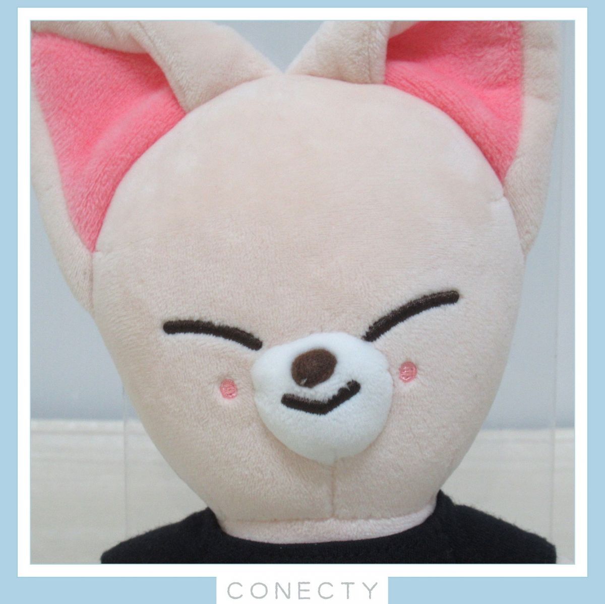 Straykids スキズ アイエン SKZOO Foxl.Ny mini plush ぬいぐるみ フォクシニ B【N3【S1 - メルカリ