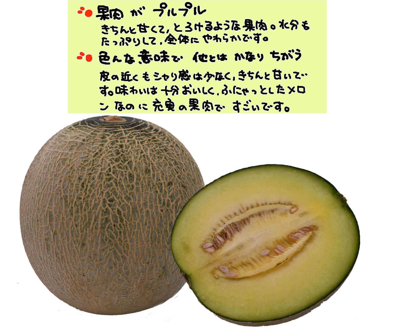 のサムネイル