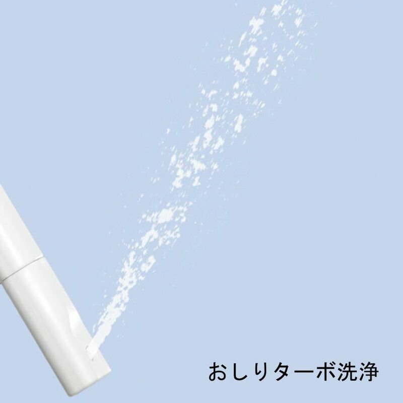 メーカー LIXIL リクシル INAX RAシリーズ シャワートイレ 温水洗浄便座 ピュアホワイト 瞬間式 CW-RAA2 BW1 SKLAD-KIRPICHA_RU