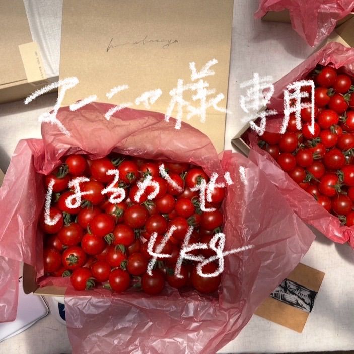 マーニャ様専用】完熟ミニトマトはるかぜ4kg - メルカリ