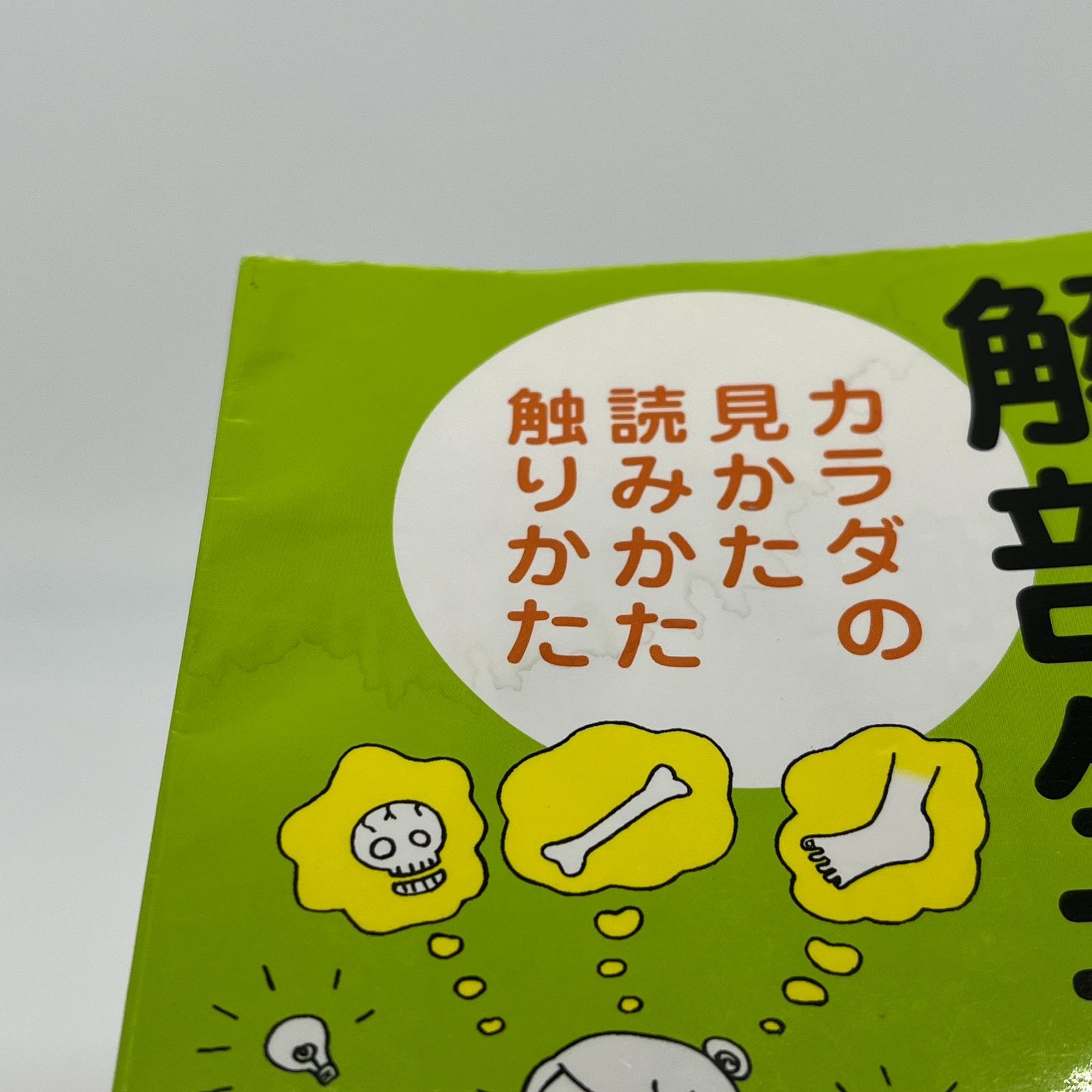 感じてわかる！セラピストのための解剖生理 カラダの見かた、読みかた、触りかた（野見山 文宏・著）エステティシャン エステサロン 本 書籍 参考書 教材