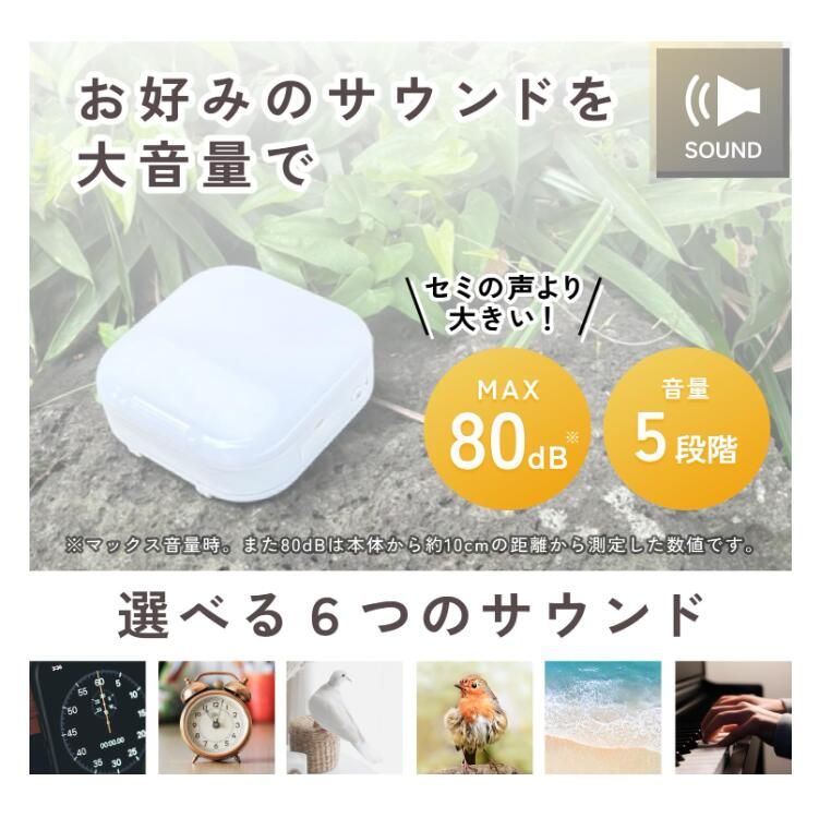ホワイト