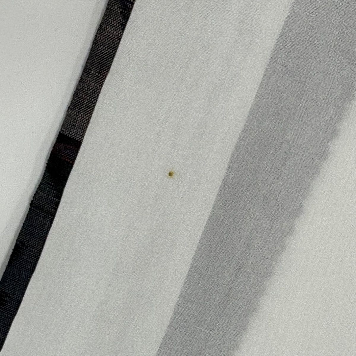 送料無料! 紬 身丈156.5cm 裄丈61.5cm S 袷 草花 唐草 灰紫 正絹 秀品 お楽しみに。