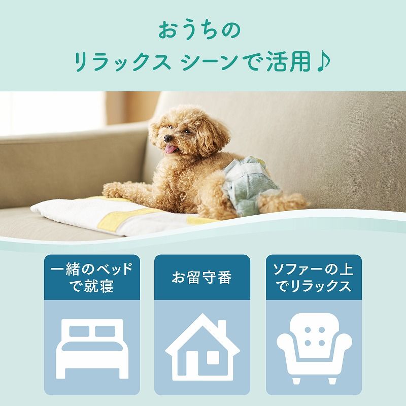 34枚