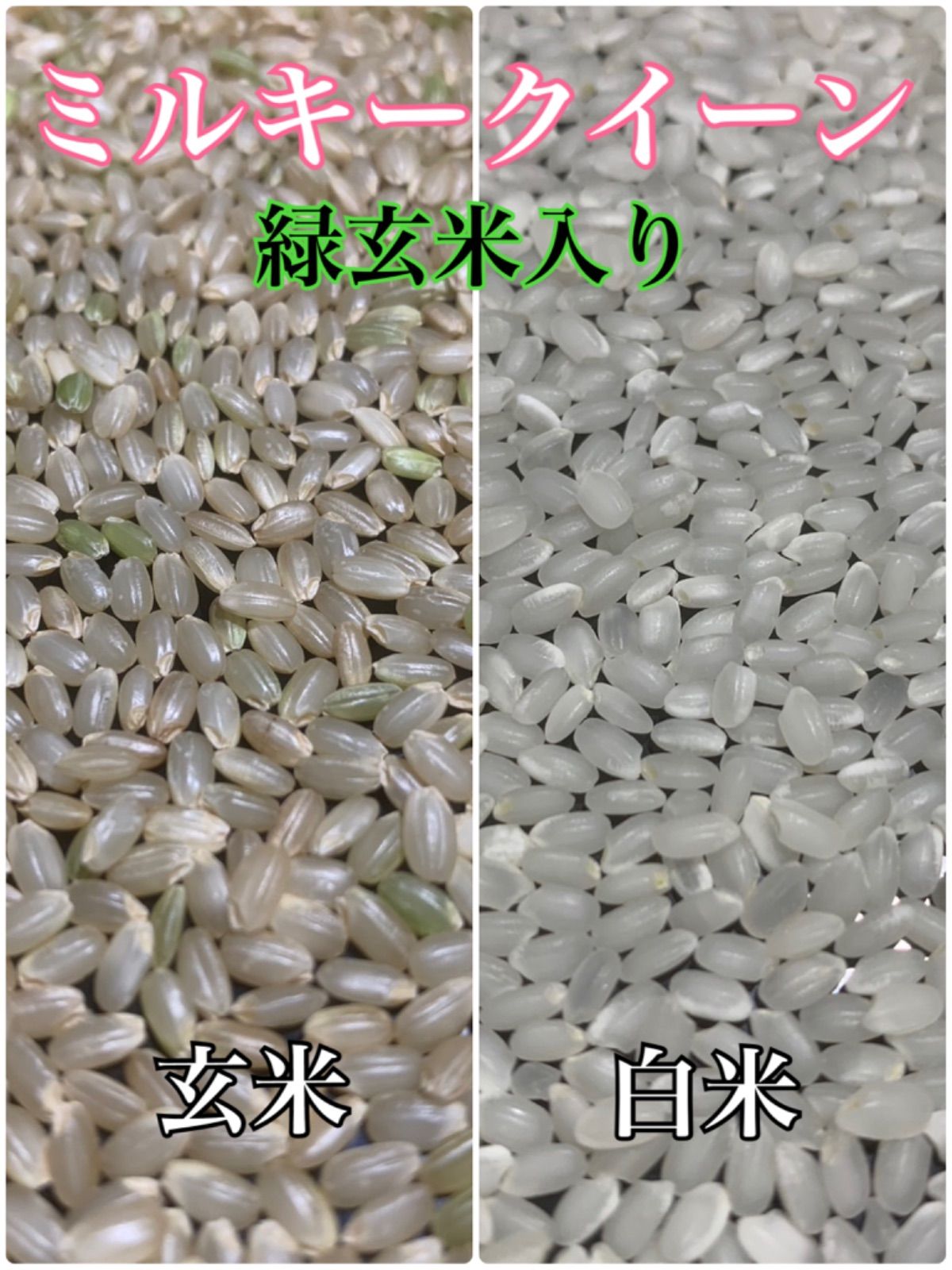山口県産 米 ミルキークイーン 30kg 精米済 送料無料