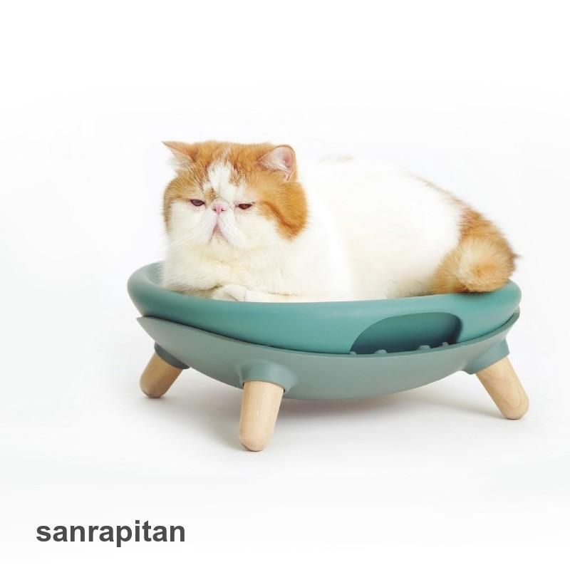 犬