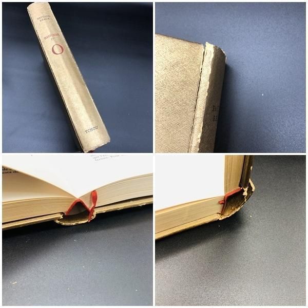 レオノール フィニ挿絵本