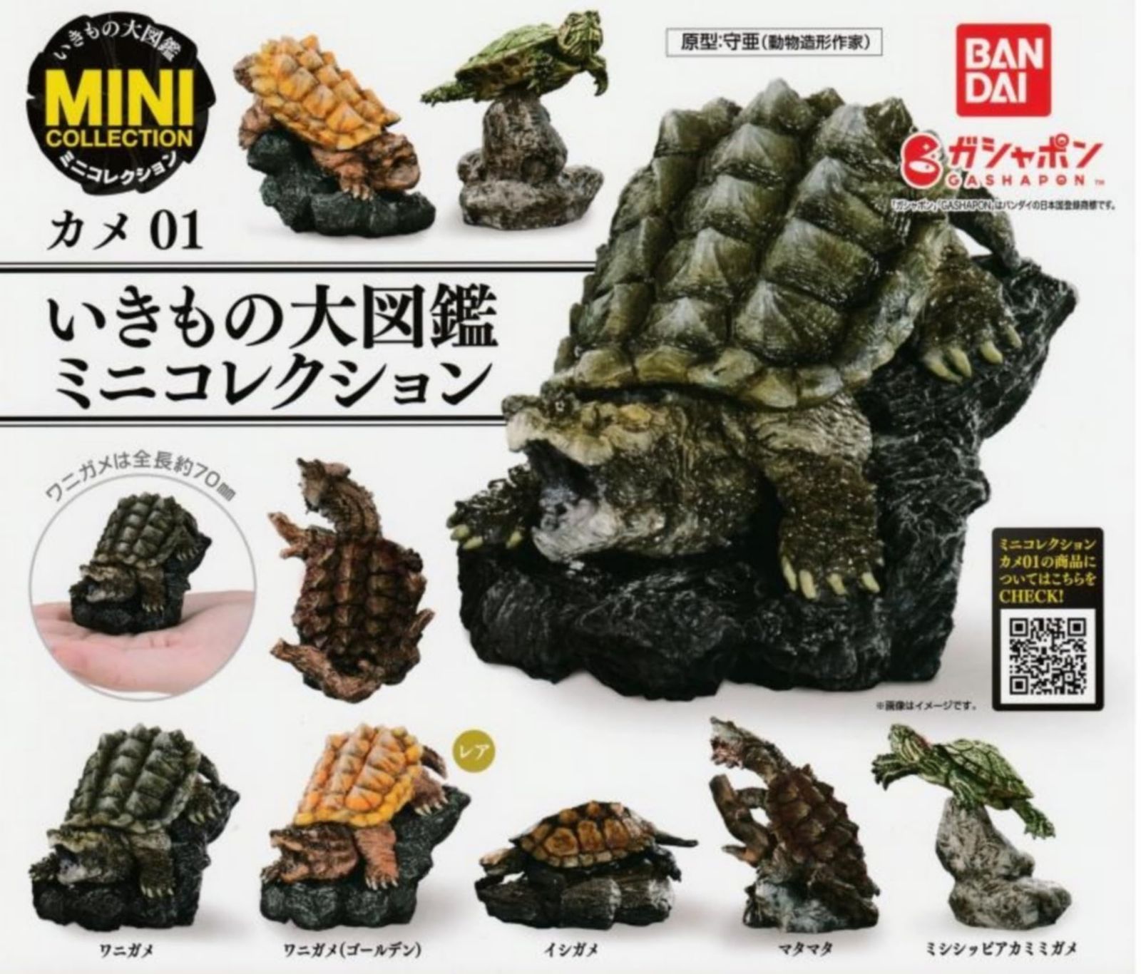 いきもの大図鑑 ミニコレクション カメ01 × 全5種セット フルコンプ ガチャガチャ カプセルトイ 