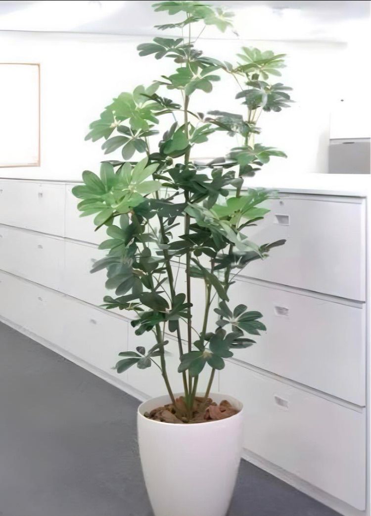 光触媒 人工観葉植物 ウォールグリーン フェイクグリーン MIX