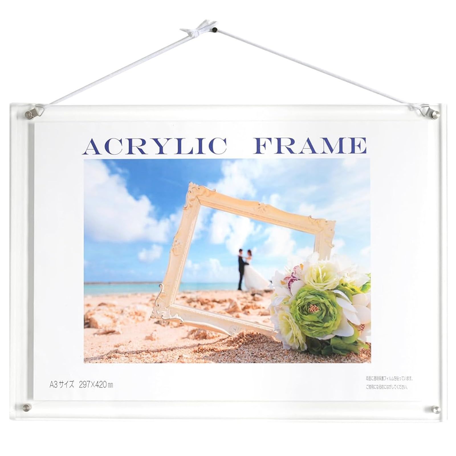 santa monica Tシャツ サンタクルーズ sims vision