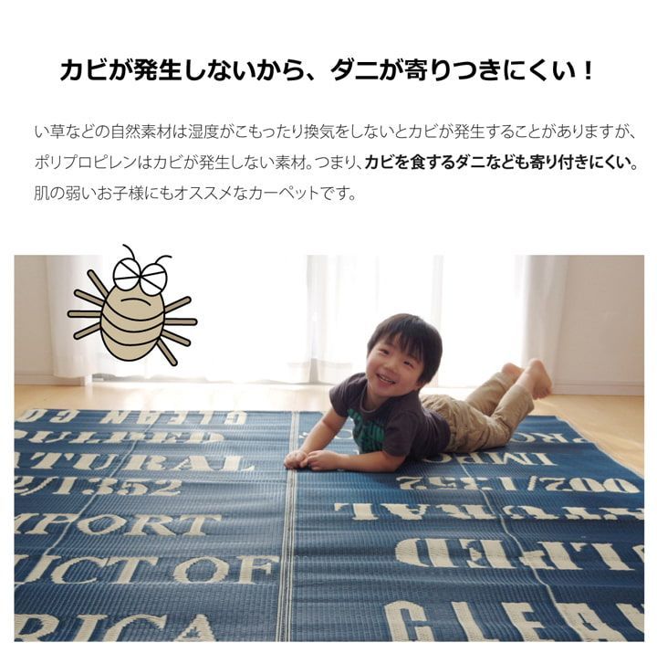 ポリプロピレンカーペット カーペット
