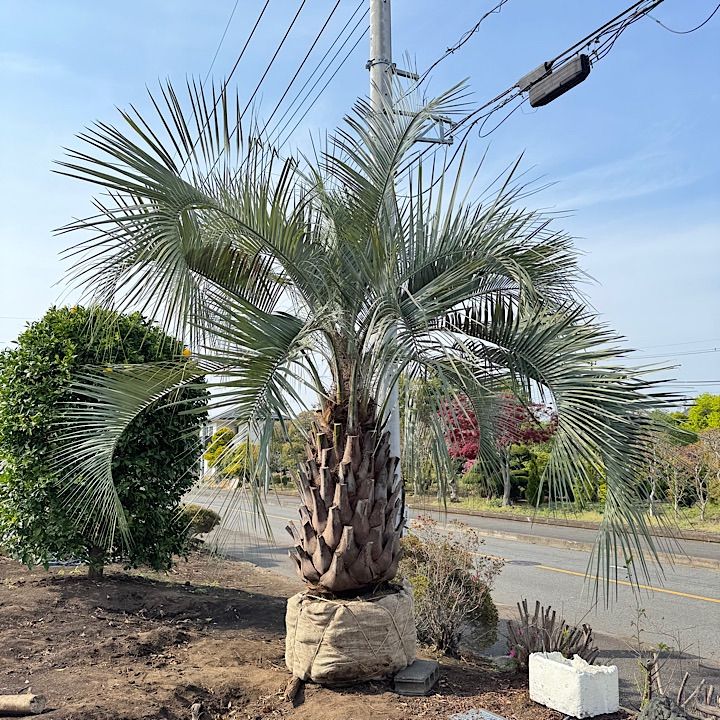 3m90cm
