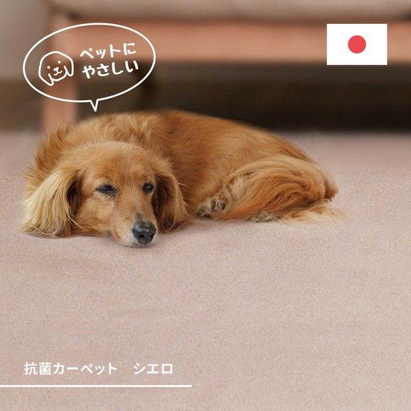 【ペットのいる家庭にも】敷き詰めカーペット タフト 抗菌 日本製 「シエロ」 アイボリー 江戸間3~10帖 江戸間4.5帖