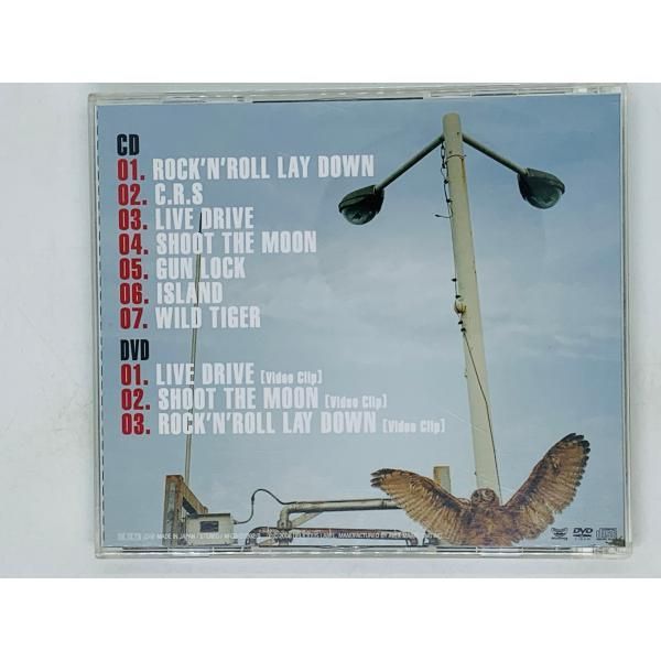 THE PREDATORS CD•DVDセット M109237057最 安値 価格