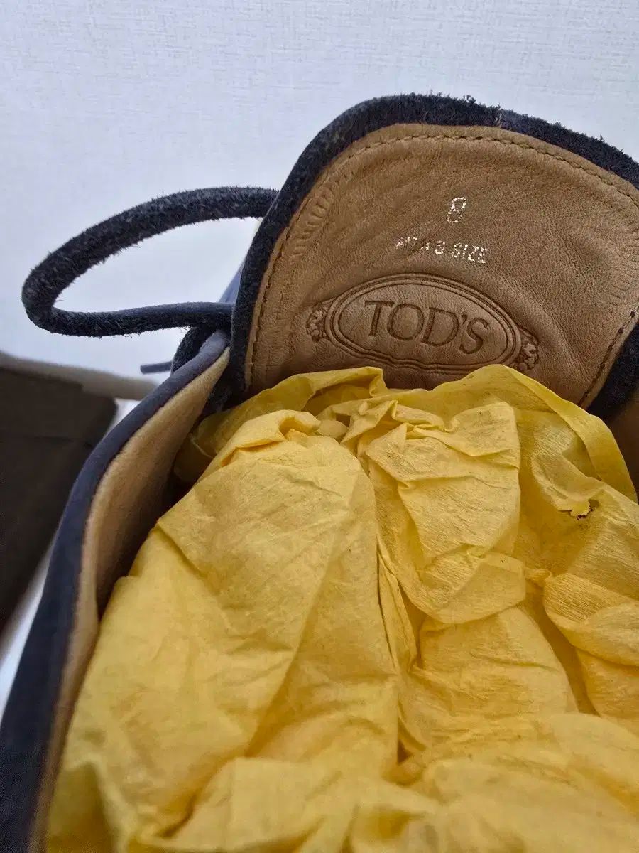 TOD S