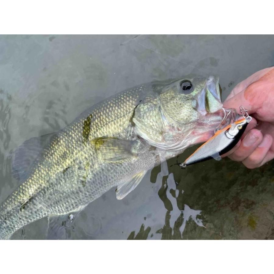 ラパラ カウントダウン エリート CDE35 3.5cm 4g (カラーチャート2