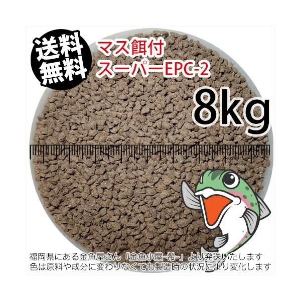 ナンバーナイン⭐ROCK ショップ IDOL期ロゴプレートネックレス