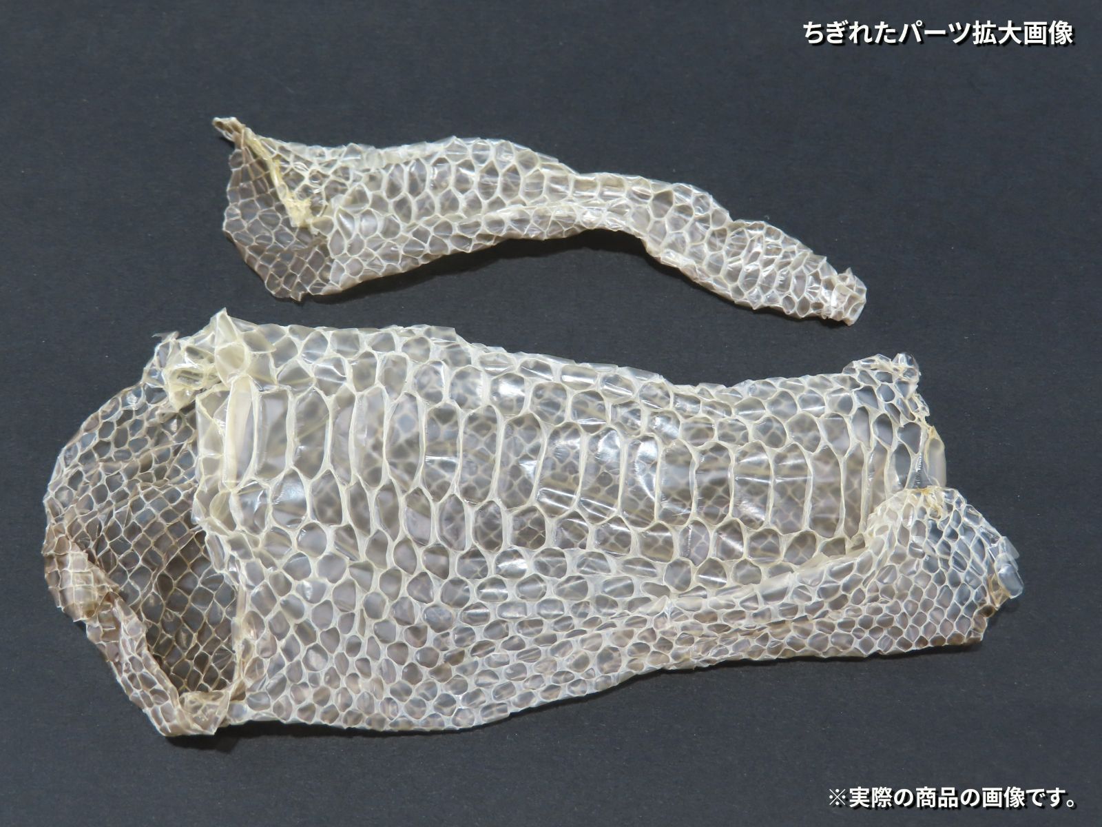 蛇の抜け殻 縁起物 金運 約1m14cm&13cm&10cm HC-8 - メルカリ