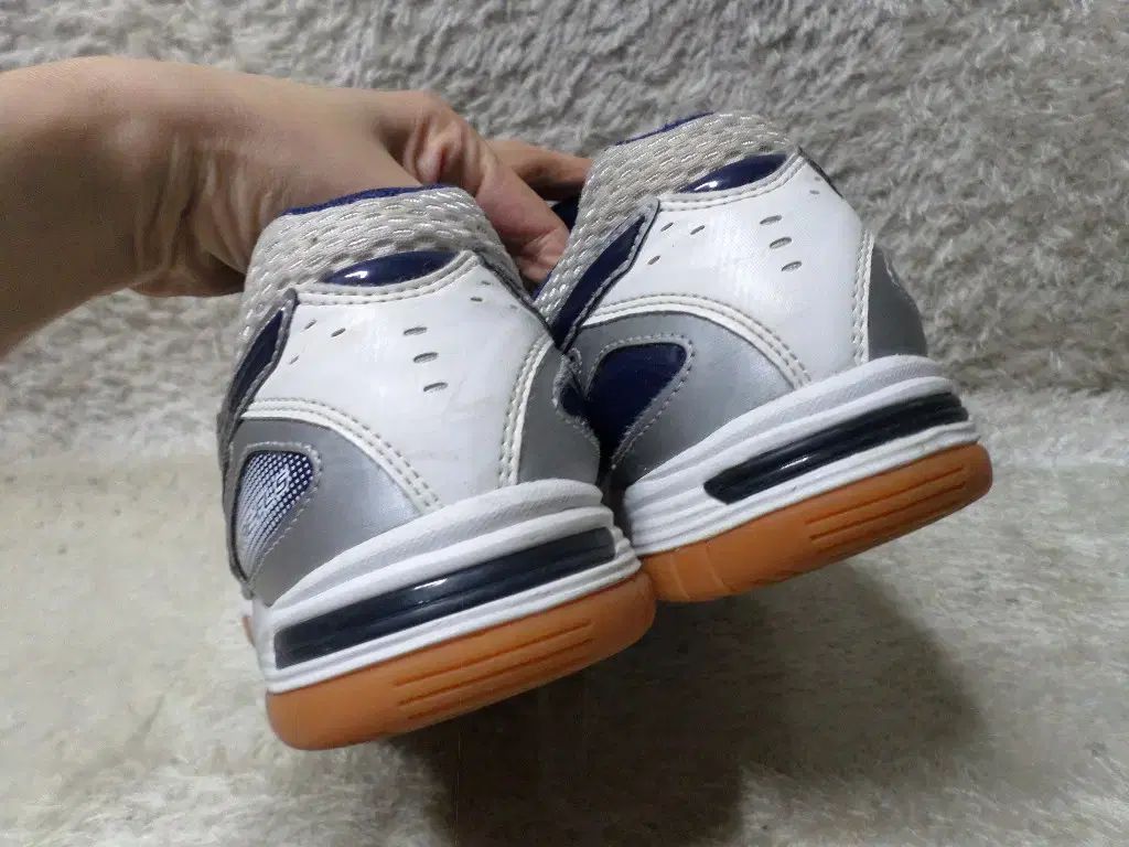 テリーブレ 体大受験