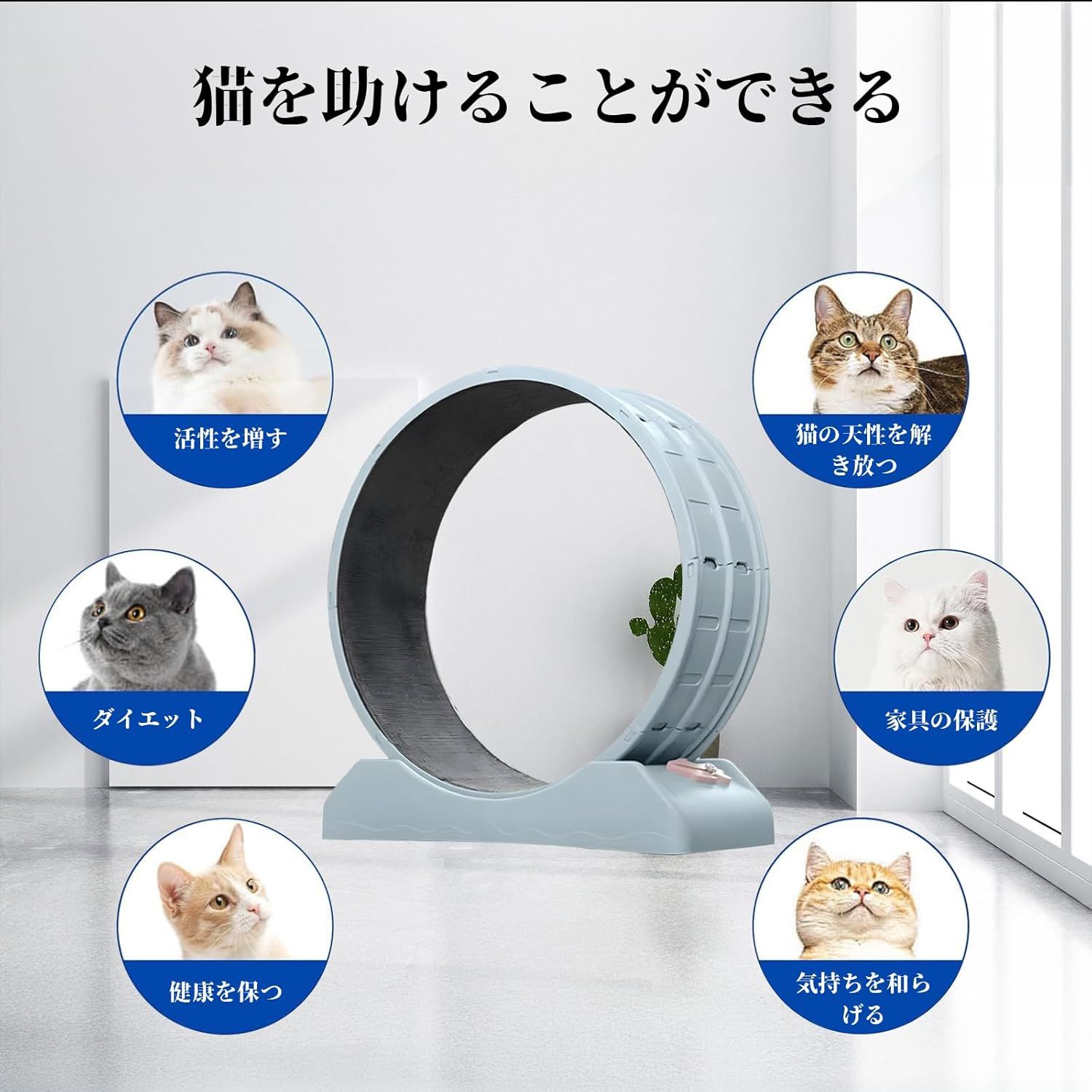 日本語の説明書付き Color