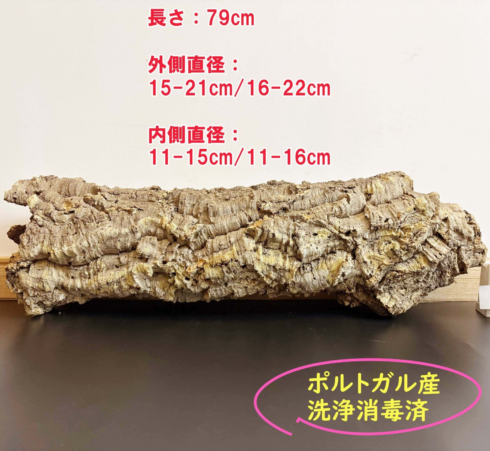 259S28 ポルトガル産 キャノンコルク コルク樹皮 コルク板 バージンコルク 送料無料 チランジア ビカクシダ 着生ラン 両生類 爬虫類