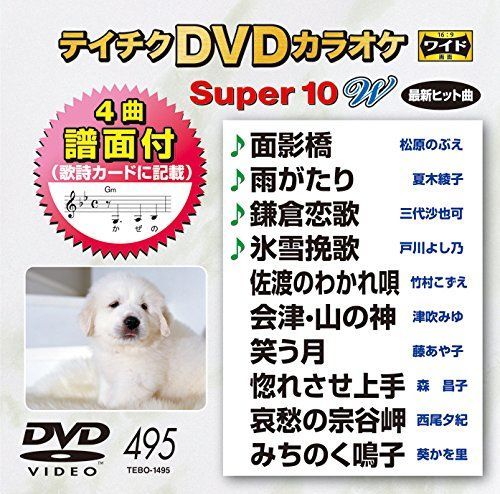 (未使用･未開封品)テイチクDVDカラオケ スーパー10W(495) テイチクDVDカラオケ スーパー10W(495)