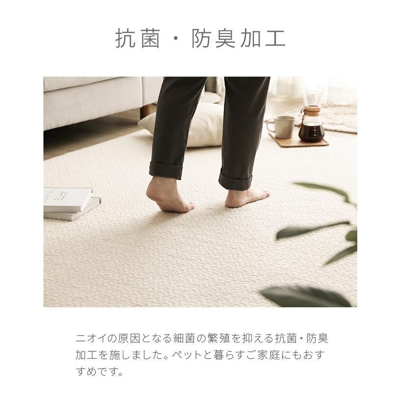 ラグ