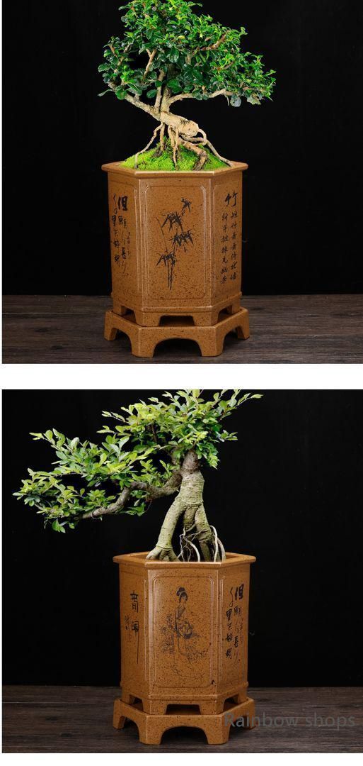 中国　宜興　盆栽鉢　植木鉢　盆栽 新品未使用】中国宜興 紫砂の鉢 盆栽鉢 植木鉢 小品盆栽鉢 大品