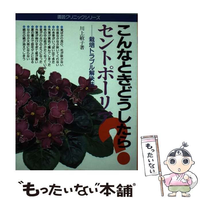 中古】 セントポーリア こんなときどうしたら? 栽培トラブル解決法