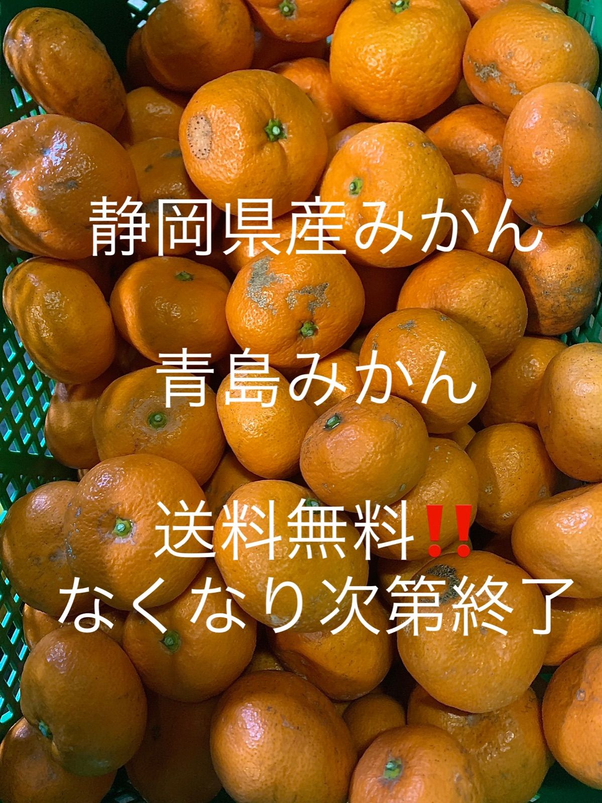 静岡県産みかん 青島みかん ご家庭用 10kg 残りわずか❗️ - メルカリ