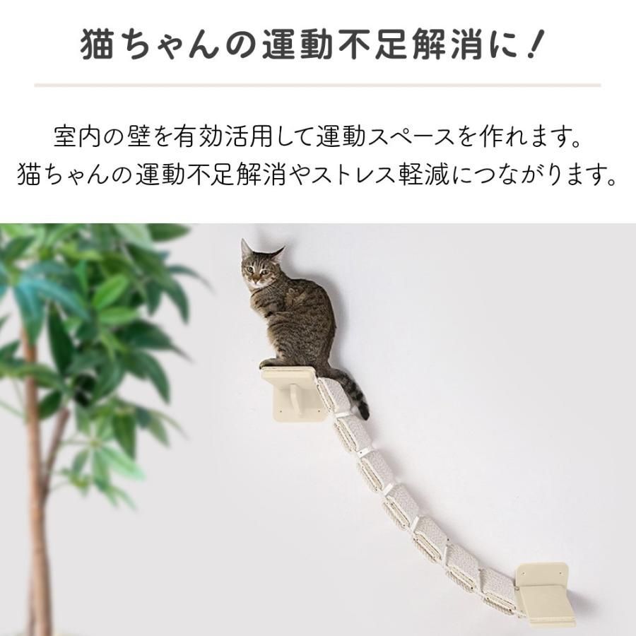 ネコ