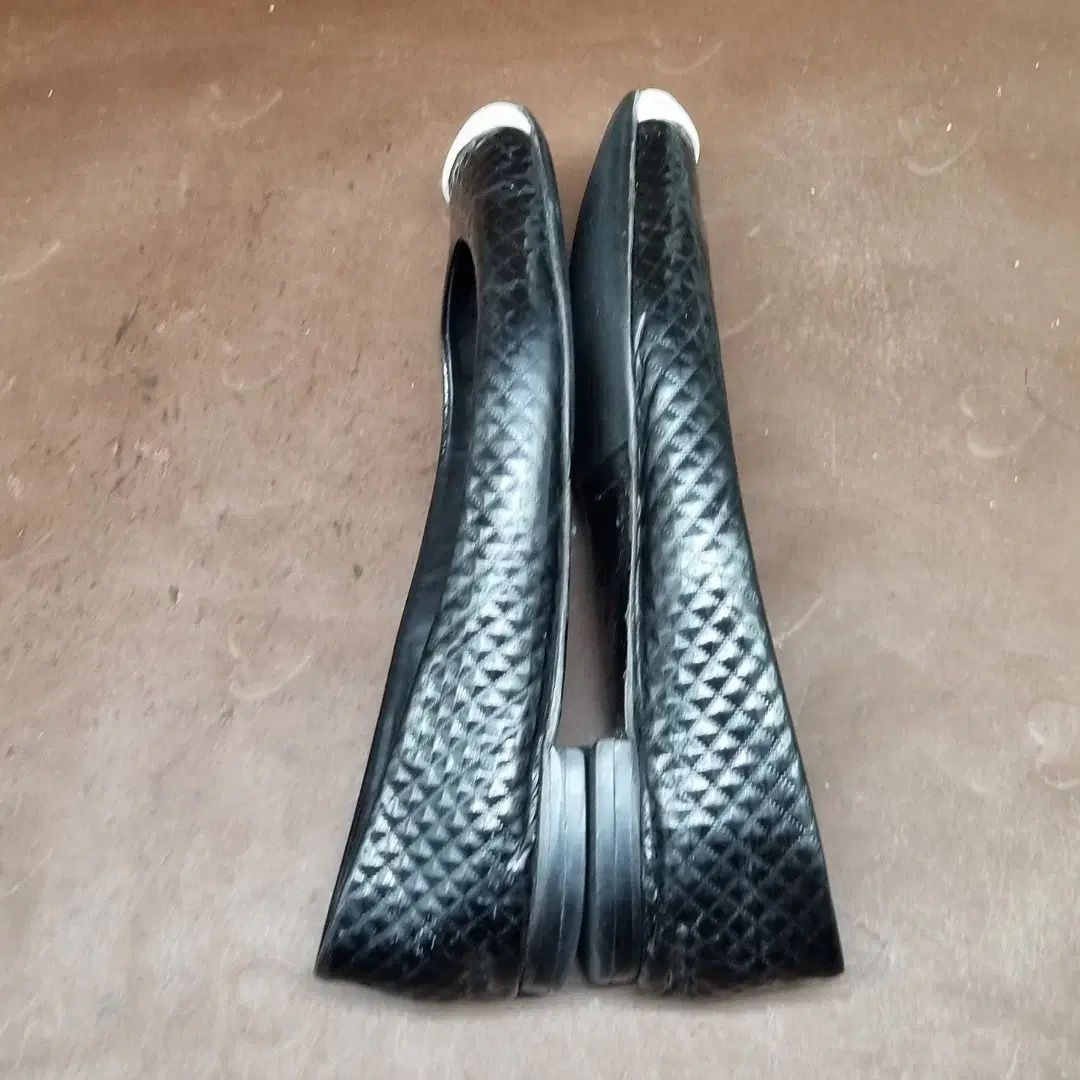 Giuseppe Zanotti
